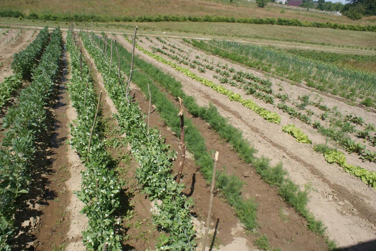 Agrodomki Okej-Bialy Dom Gardna Wielka Esterno foto